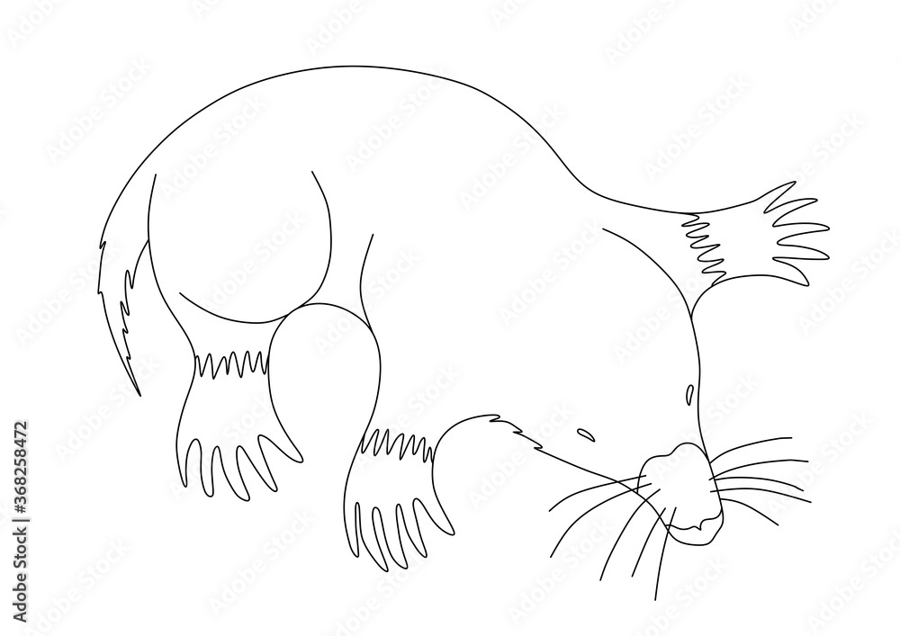 CHILDREN'S COLORING BOOK WITH A MOLE CHILDREN'S COLORING BOOK WITH A MOLE