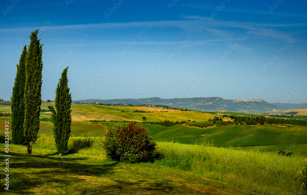 Obraz premium OLYMPUS DIGITAL CAMERA