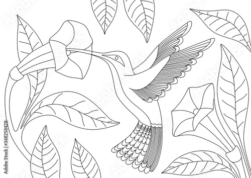 CHILDREN'S COLORING BOOK WITH HUMMINGBIRDS