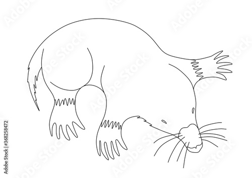 CHILDREN'S COLORING BOOK WITH A MOLE