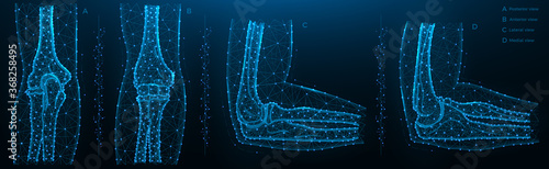 Blue polygonal illustration of the elbow joint, posterior, anterior, lateral and medial view.