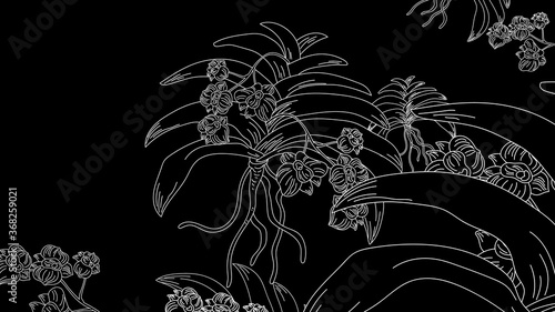Hand drawn orchid flowers black and white, Abstract background black and white. Vector illustration