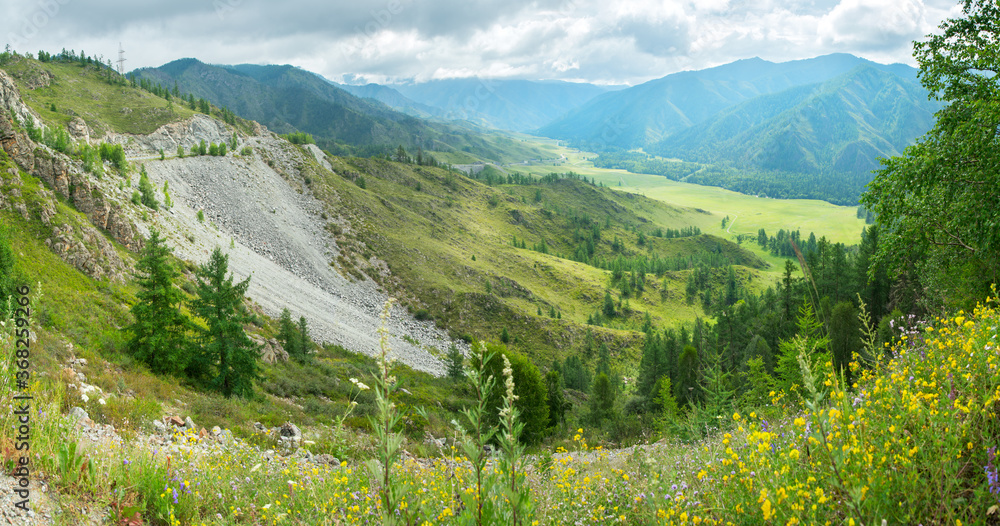 Fototapeta premium View of the valley from the mountain pass, Altai. Summer greenery, cloudy.