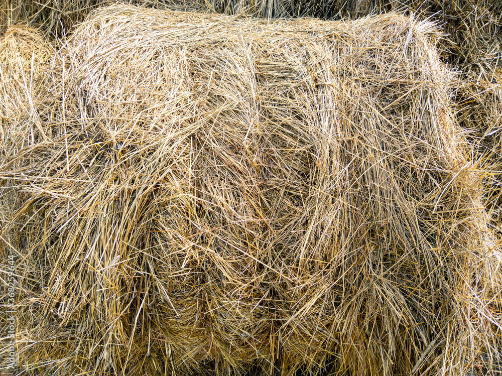 Close-up of hay stacked in rolls after harvesting. Close-up of hay stacked in rolls after harvesting.