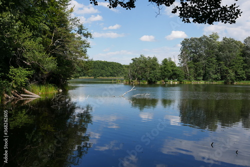 Unberührte Natur am Amtsee Kloster Chorin photo