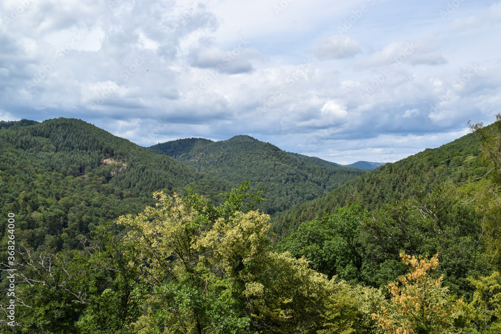 Pfälzer Wald von Burg Landeck