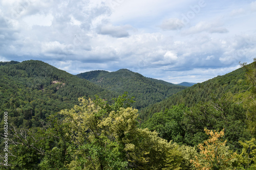 Pfälzer Wald von Burg Landeck