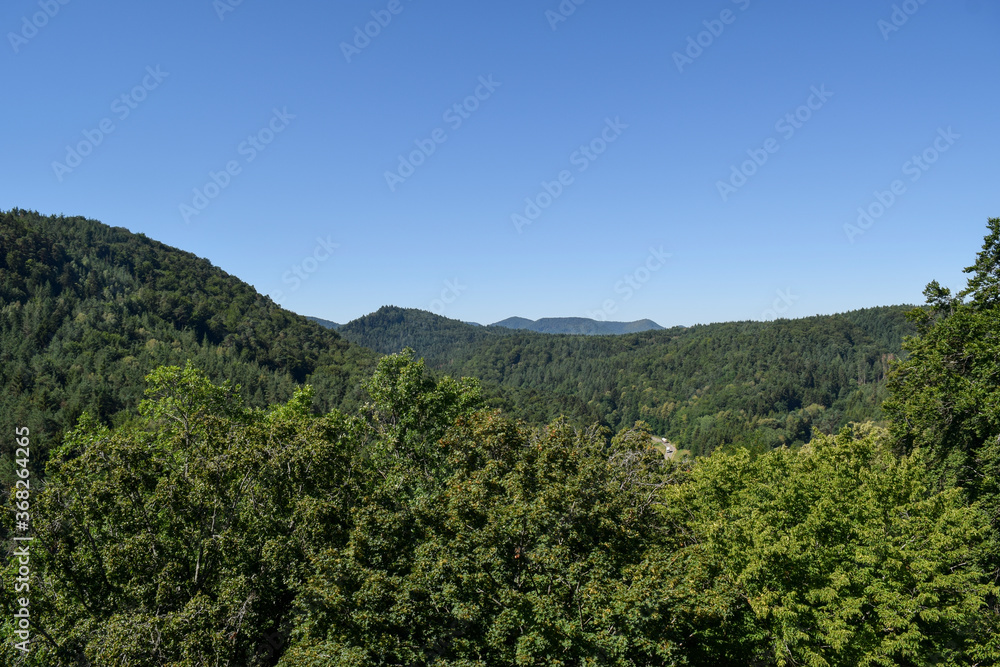 Pfälzer Wald von Burg Berwartstein