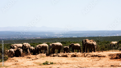 South Africa © Neil