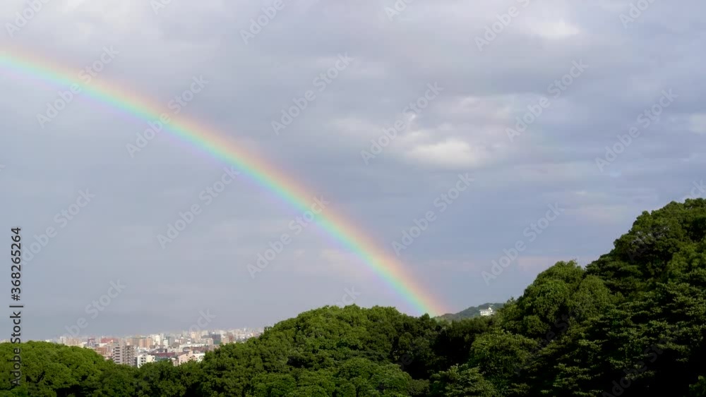 森と街にかかる虹 森と街にかかる虹