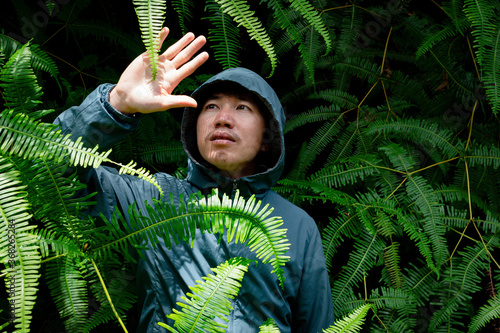 Man in green hoodie with zipper standing in bush of fresh firn leaves, Portrait of Asian man in nature