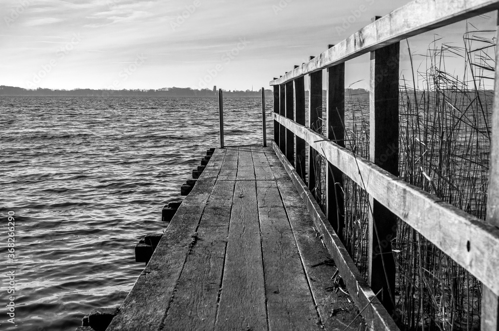 Wharf or jetty extending out over a lake with reeds to one side (in black and white)
