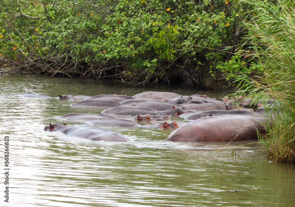 Fototapeta premium South Africa