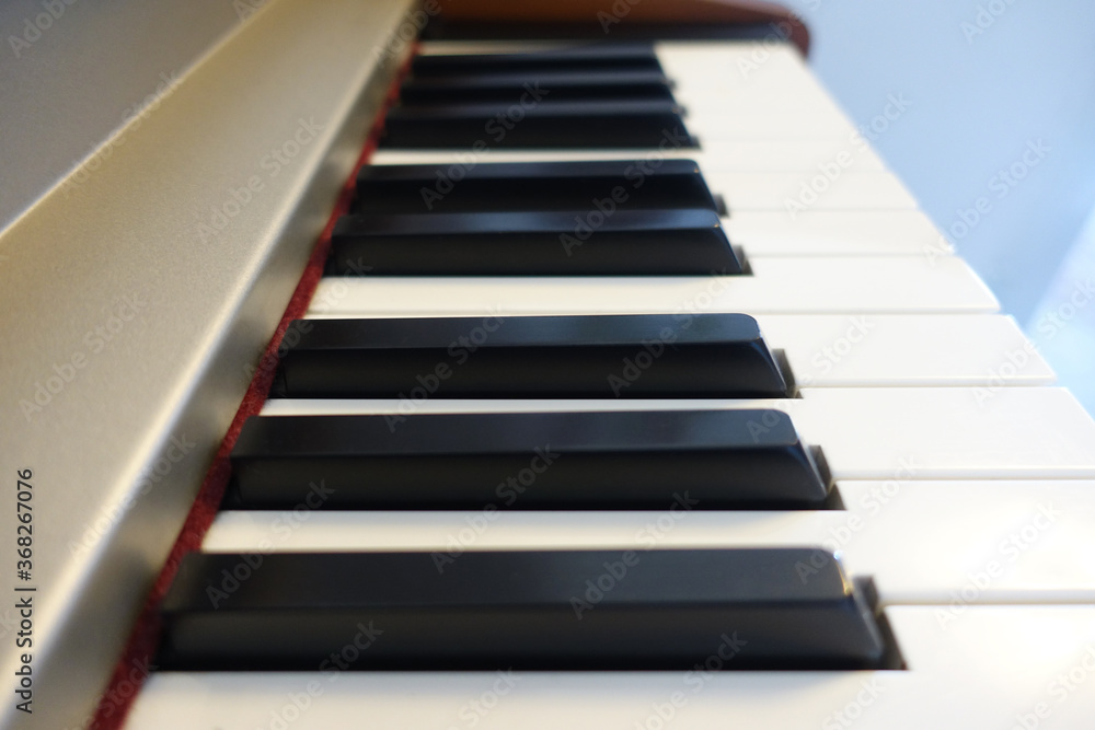 Piano keyboard close up. Black and white photo of piano Piano keyboard close up. Black and white photo of piano