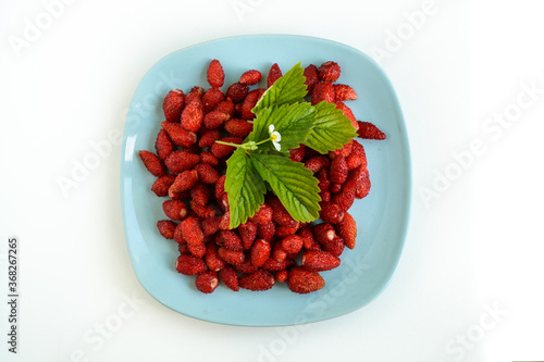 Many red strawberries in blue plate, with leaf and flower, fresh harvest from the garden, raw food on wooden table