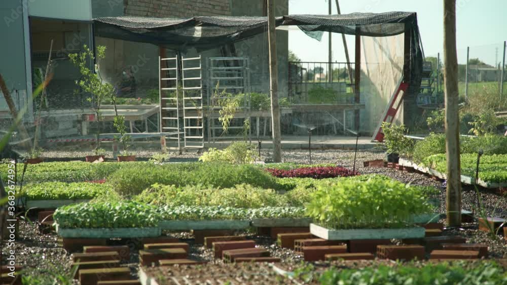Huerto Verde, Verduras y frutas Huerto Verde, Verduras y frutas