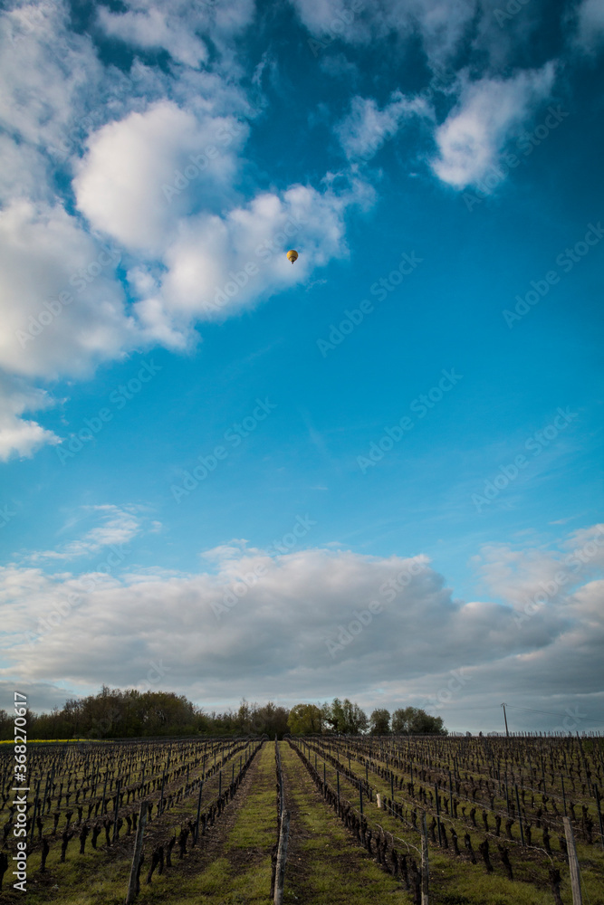 Balloons flying the the sky above the Loire Valley in France Balloons flying the the sky above the Loire Valley in France