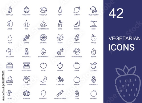 vegetarian icons set