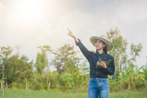 Asian women using tablet checking smart farmer in farm smart technology