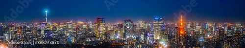 Night view of Tokyo, Japan, Panoramic View