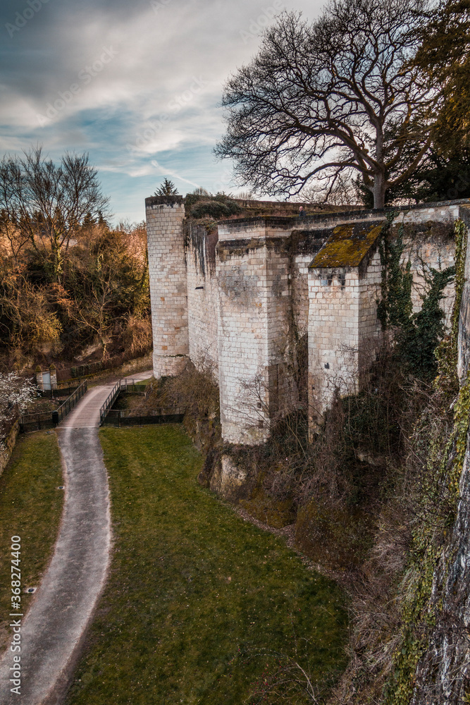 Castle and dungeon of Loches in France
