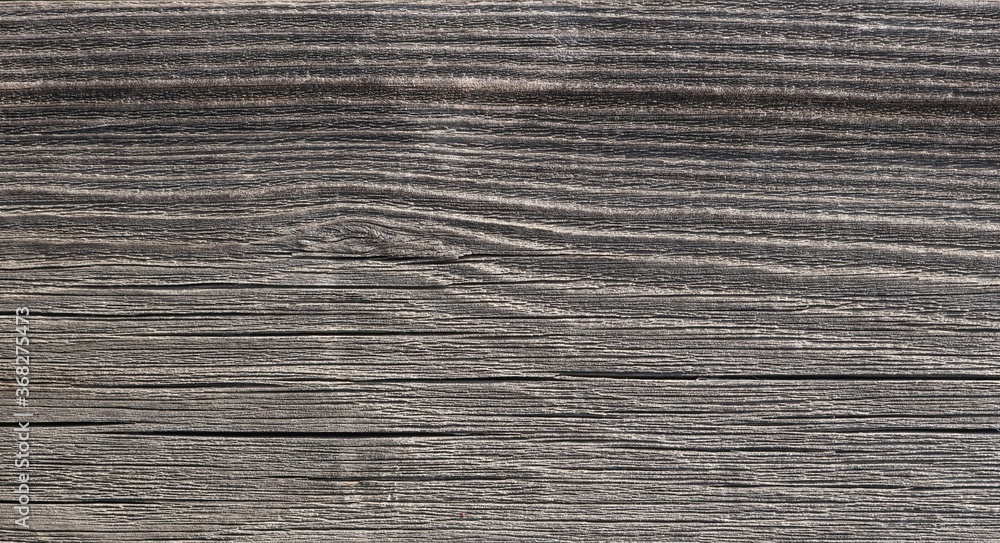 uneven embossed surface of dry wood, gray with age and exposure to moisture and air, design natural background with a unique texture uneven embossed surface of dry wood, gray with age and exposure to moisture and air, design natural background with a unique texture