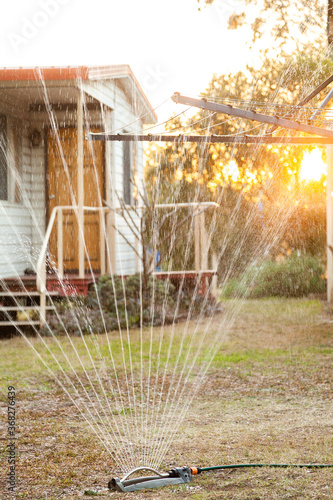 Sprinkler and garden hose watering dry lawn in the backyard photo