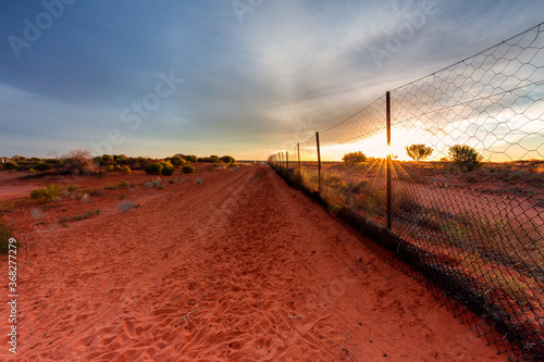Dingo fence at Cameron Corner photo