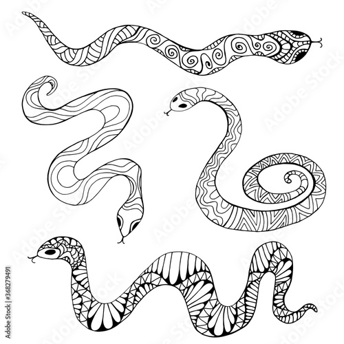 Coloring page collection with decorative ethnic snakes  isolated on white background.