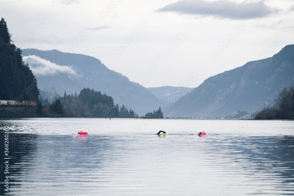 swimmers and mountains