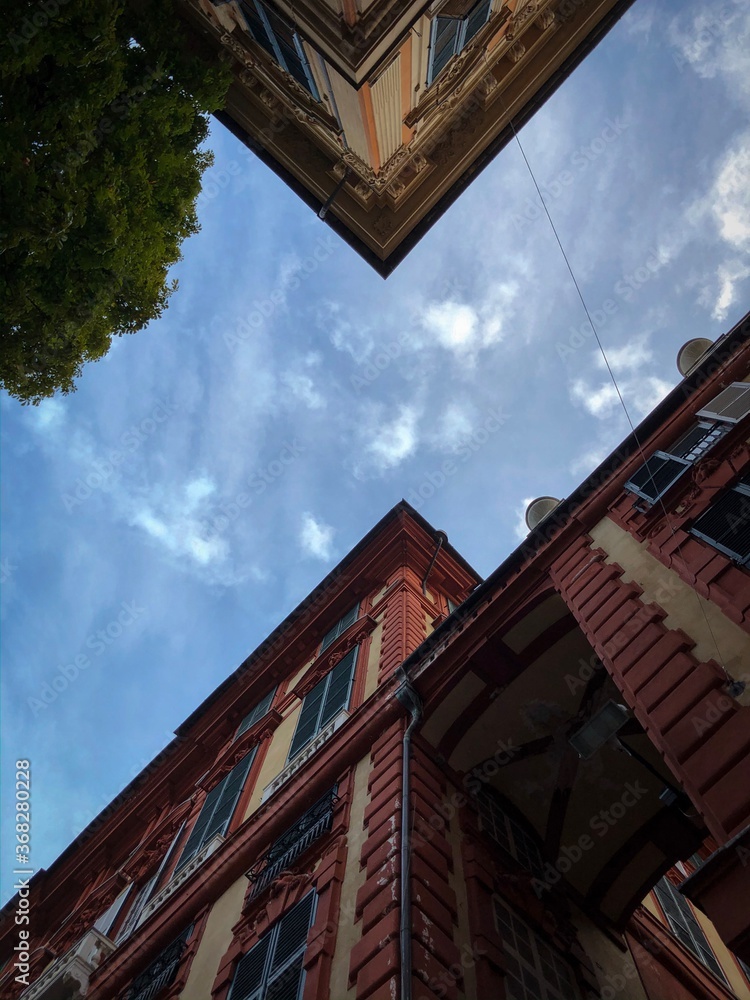 Obraz premium Look Up