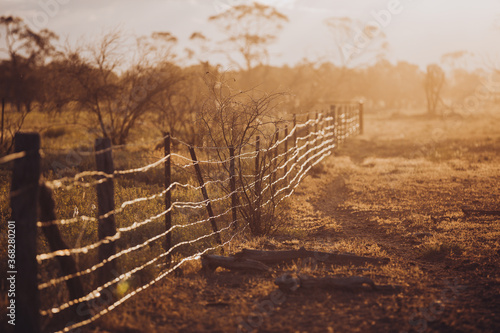 Farm fence in golden light