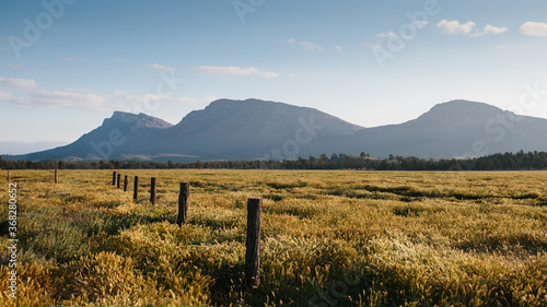 Flinders Ranges landscape with fence line and scrub in the afternoon sun photo