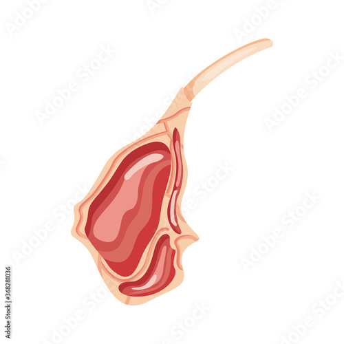 rib meat cut detailed style icon