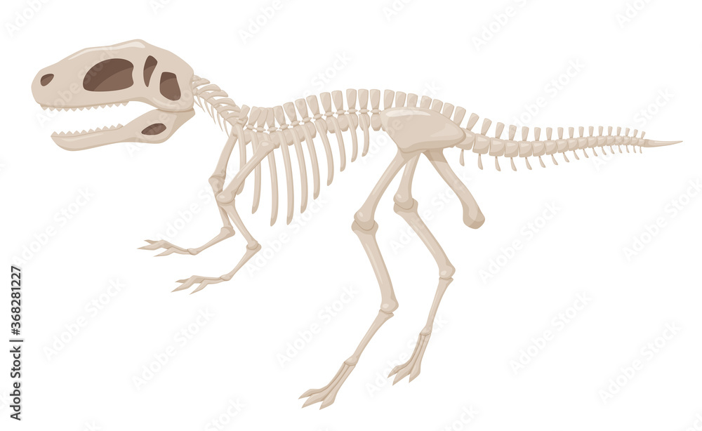 Vecteur Stock 恐竜の化石のイラスト フクイサウルス 福井竜 Adobe Stock