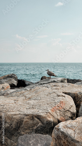 Seagull On The Rock. Ocean Waves Artwork, Coastal, Beach Photography. Quiet and peaceful place. Rockaway Beach, New York. 