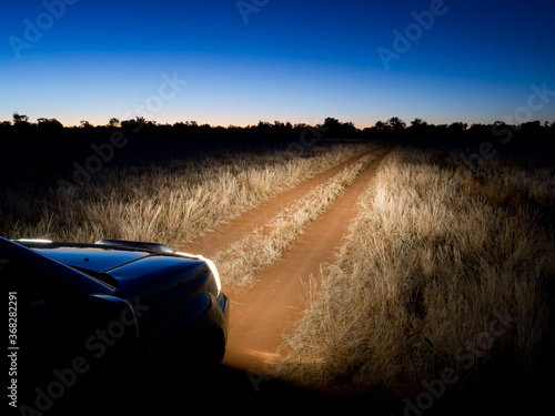 Dirt track through grassland lit by headlights photo
