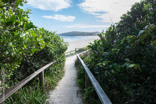 Walking path to beach photo