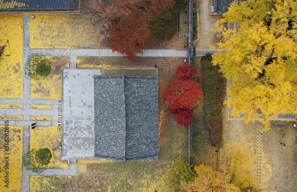 Φωτογραφία The Autumn Scenery of Daeseongjeon in Jeonju Hyangyo, Jeonju-si, South Korea, taken with a drone
