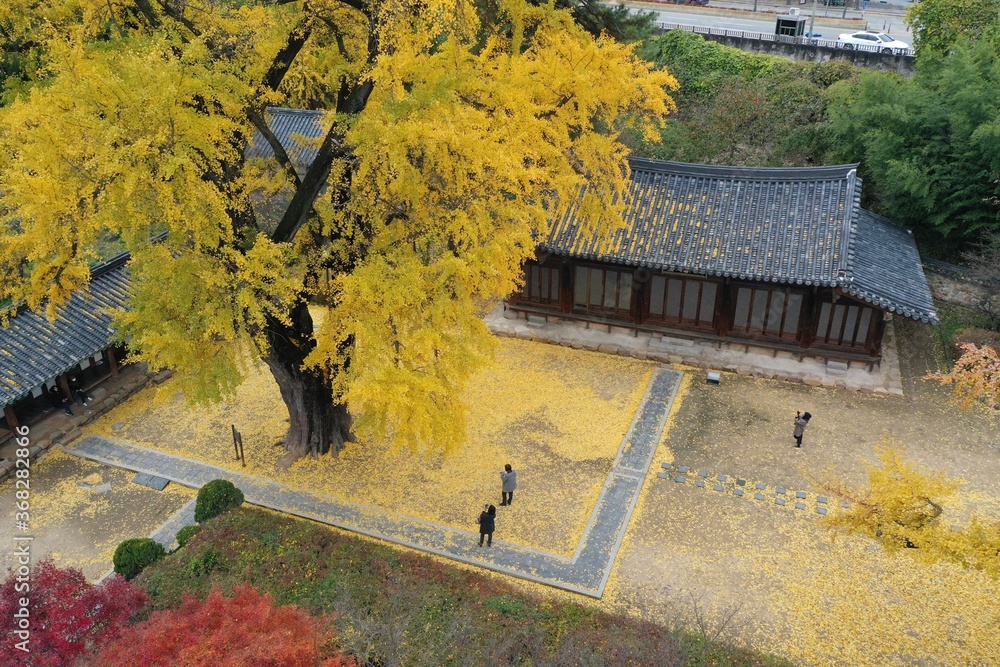 Φωτογραφία Autumn scenery of Myeongnyundang in Jeonju hyanggyo Confucian School in Jeonju-si, South Korea