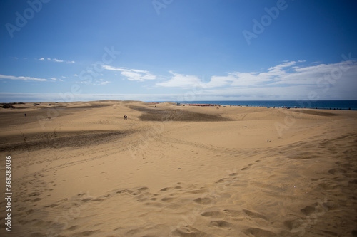 Canary Island dunes in Maspalomas 