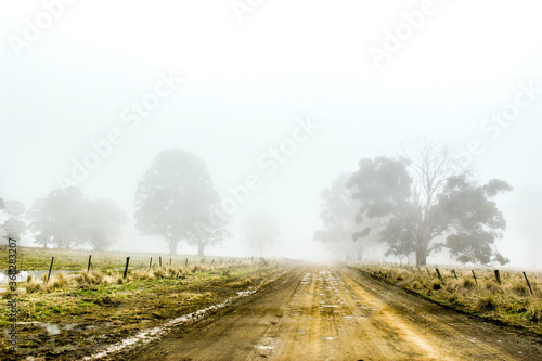 A dirt country road in the mist as snow is melting
