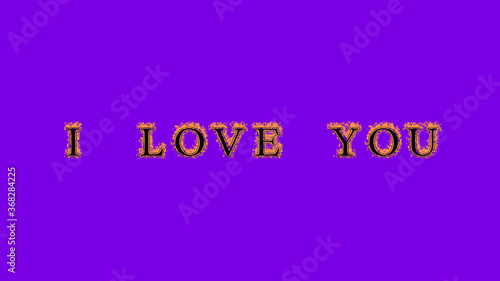 i love you fire text effect violet background. animated text effect with high visual impact. letter and text effect. Alpha Matte. 