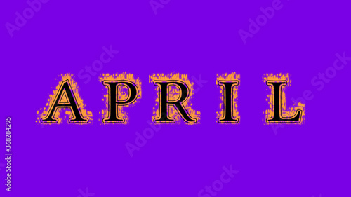 april fire text effect violet background. animated text effect with high visual impact. letter and text effect. Alpha Matte. 