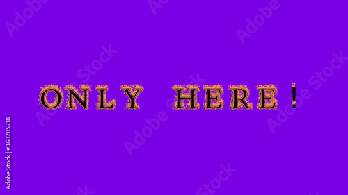 only here! fire text effect violet background. animated text effect with high visual impact. letter and text effect. Alpha Matte. 