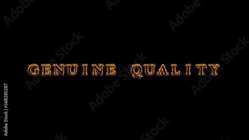 genuine quality fire text effect black background. animated text effect with high visual impact. letter and text effect. Alpha Matte. 