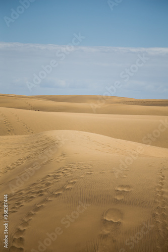 Vertical sand dunes and blue sky in Maspalomas Gran Canaria