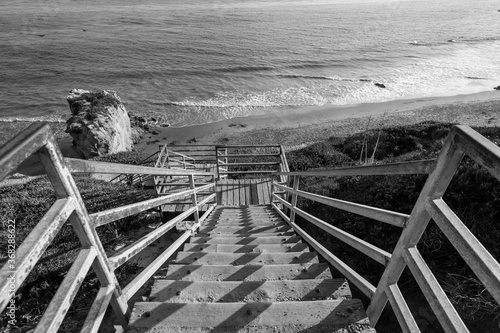 Black and white view of El ...