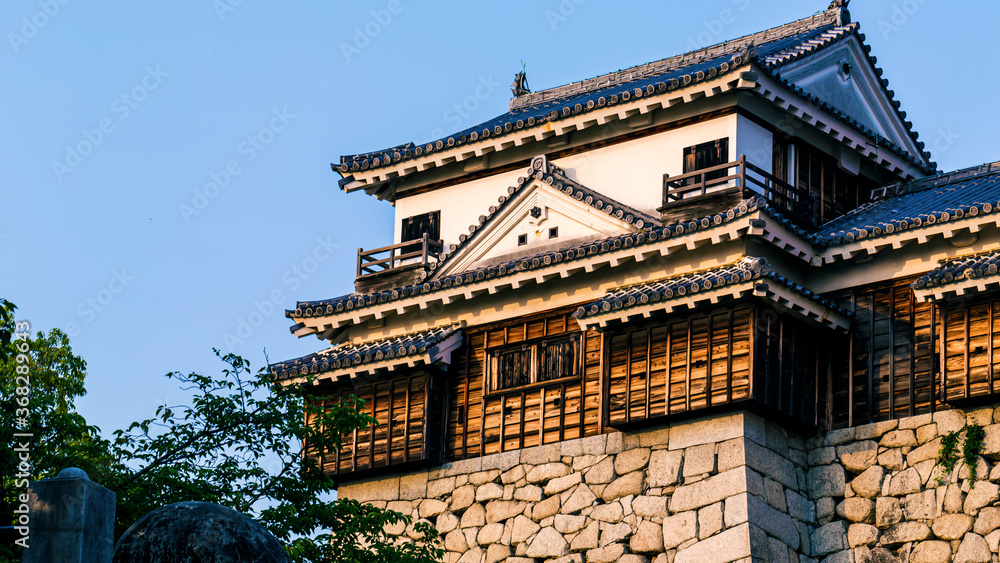 Ancient Matsuyama Castle in Matsuyama, Ehime, Japan Ancient Matsuyama Castle in Matsuyama, Ehime, Japan