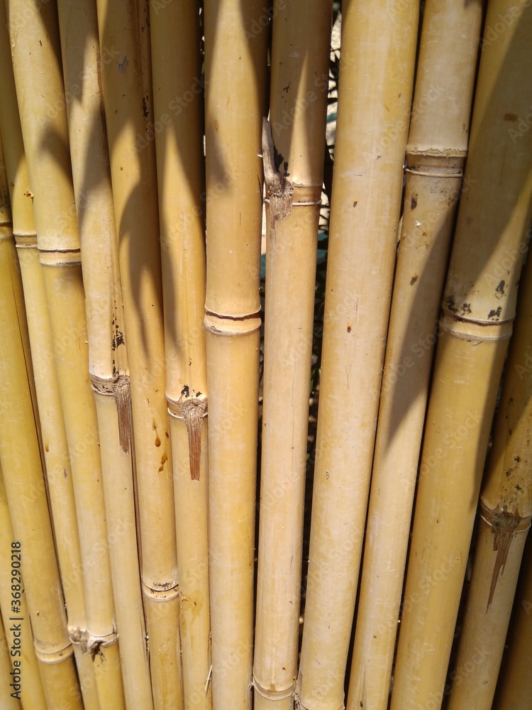 Background from a bamboo fence close-up. Background from a bamboo fence close-up.